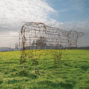 atom-heart-mother-40th-wire-cow-2